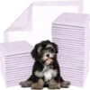 Green Lifestyle Disposable Lavender Scented Dog & Cat Pee Pads, 100 Count