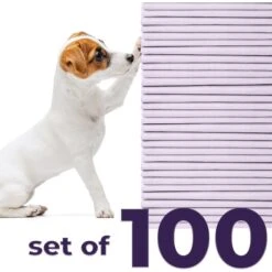 Green Lifestyle Disposable Lavender Scented Dog & Cat Pee Pads, 100 Count -Dog Supplies 1023422 PT2. AC SS1800 V1700886269