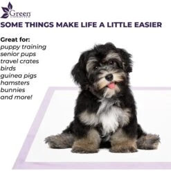 Green Lifestyle Disposable Lavender Scented Dog & Cat Pee Pads, 100 Count -Dog Supplies 1023422 PT3. AC SS1800 V1700886271