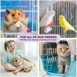 Green Lifestyle Disposable Lavender Scented Dog & Cat Pee Pads, 100 Count -Dog Supplies 1023422 PT5. AC SS1800 V1700886271