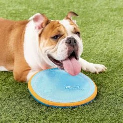 Chuckit! Zipflight Disc Dog Toy, Color Varies & Chuckit! Paraflight Dog Toy -Dog Supplies 1030662 PT8. AC SS1800 V1702598512