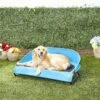 Gen7Pets Cool-Air Cot Elevated Dog Bed -Dog Supplies 105020 MAIN. AC SS1800 V1566323739