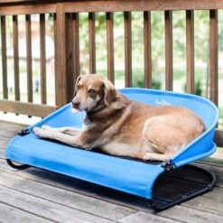 Gen7Pets Cool-Air Cot Elevated Dog Bed -Dog Supplies 105020 PT3. AC SS1800 V1566323751
