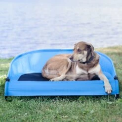Gen7Pets Cool-Air Cot Elevated Dog Bed -Dog Supplies 105020 PT4. AC SS1800 V1566323753