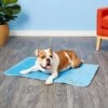 The Green Pet Shop Cool Pet Pad 2 The Green Pet Shop Cool Pet Pad -Dog Supplies 105747 MAIN. AC SS1800 V1567527680