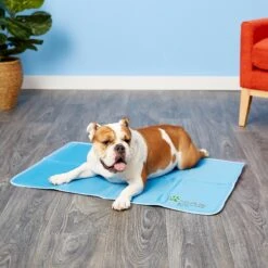 The Green Pet Shop Cool Pet Pad