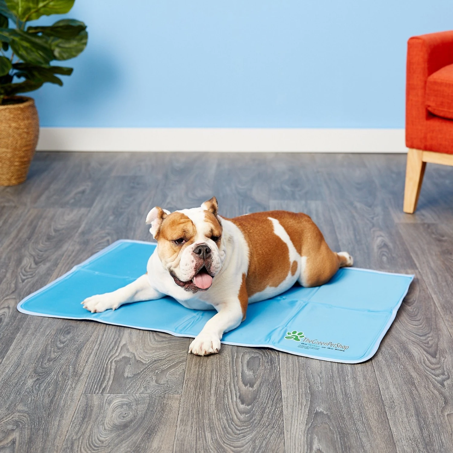 The Green Pet Shop Cool Pet Pad 3 The Green Pet Shop Cool Pet Pad