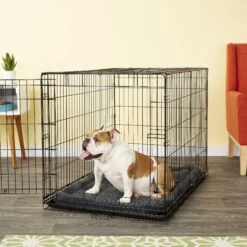 American Kennel Club AKC Dog Crate Mat 9 American Kennel Club AKC Dog Crate Mat -Dog Supplies 106527 PT2. AC SS1800 V1542233927