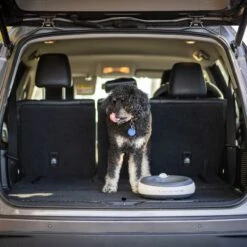 Torus Pet Filtered Dog & Cat Water Bowl -Dog Supplies 108653 PT7. AC SS1800 V1676903617