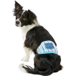 Alfie Pet Belly Band Washable Male Dog Wraps -Dog Supplies 110007 PT6. AC SS1800 V1518637607