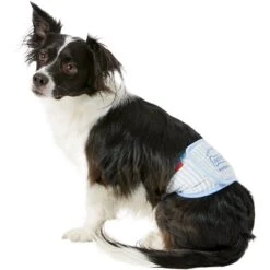 Alfie Pet Belly Band Washable Male Dog Wraps -Dog Supplies 110007 PT7. AC SS1800 V1518637613