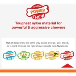 Nylabone Power Chew Flavor Frenzy Cheesesteak Flavored Dog Chew Toy -Dog Supplies 110393 PT3. AC SS1800 V1689706239