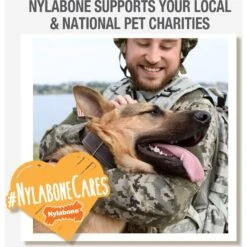 Nylabone Power Chew Flavor Frenzy Cheesesteak Flavored Dog Chew Toy -Dog Supplies 110393 PT6. AC SS1800 V1689707775