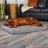 FurHaven NAP Ultra Plush Orthopedic Deluxe Cat & Dog Bed With Removable Cover -Dog Supplies 111417 MAIN. AC SS1800 V1689185892