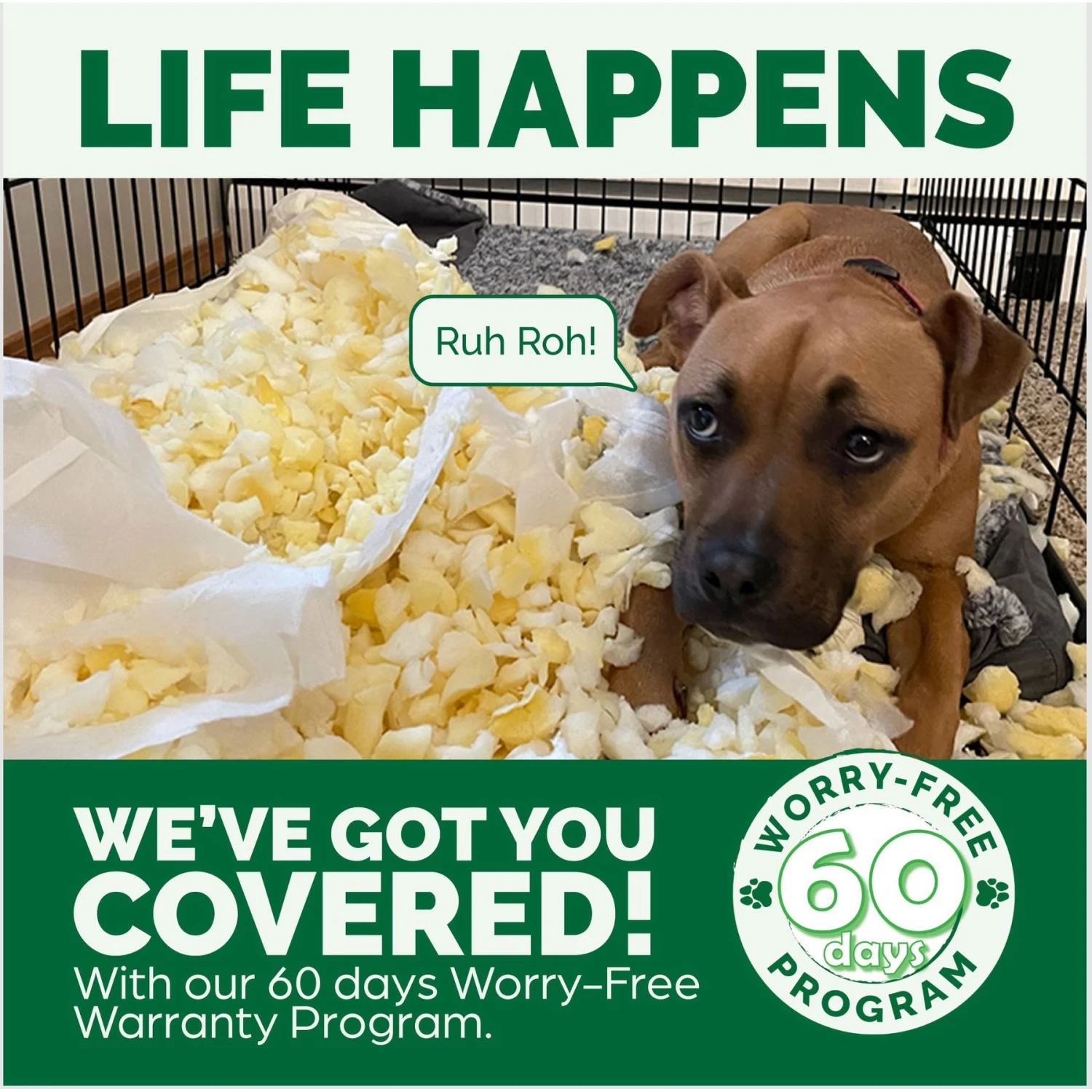 FurHaven NAP Ultra Plush Orthopedic Deluxe Cat & Dog Bed With Removable Cover 11 FurHaven NAP Ultra Plush Orthopedic Deluxe Cat & Dog Bed With Removable Cover - Image 9