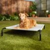 Frisco Steel-Framed Elevated Dog Bed 1 Frisco Steel-Framed Elevated Dog Bed -Dog Supplies 112076 MAIN. AC SS1800 V1674156718