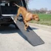 PetSTEP Folding Pet Ramp -Dog Supplies 114031 MAIN. AC SS1800 V1569621717