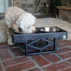Pet Zone Designer Diner Adjustable Elevated Dog & Cat Bowls, 7-cup -Dog Supplies 115664 PT4. AC SS1800 V1639012092
