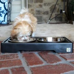 Pet Zone Designer Diner Adjustable Elevated Dog & Cat Bowls, 7-cup -Dog Supplies 115664 PT5. AC SS1800 V1639018068