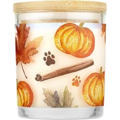 Pet House Pumpkin Spice Natural Plant-Based Wax Candle -Dog Supplies 115981 PT2. AC SS1800 V1634837526