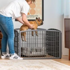 IRIS USA 4-Panel Dog Exercise Playpen, 24-in 17 IRIS USA 4-Panel Dog Exercise Playpen, 24-in -Dog Supplies 116440 PT6. AC SS1800 V1689701191