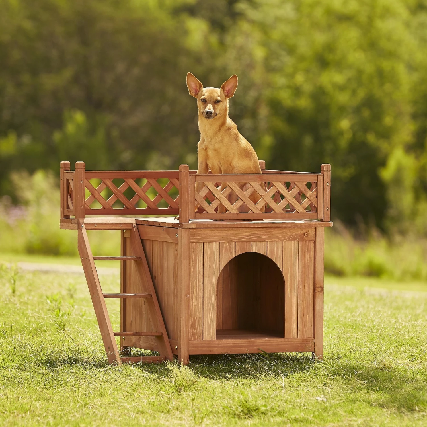 Merry Products Room With A View Wood Dog & Cat House 3 Merry Products Room With A View Wood Dog & Cat House