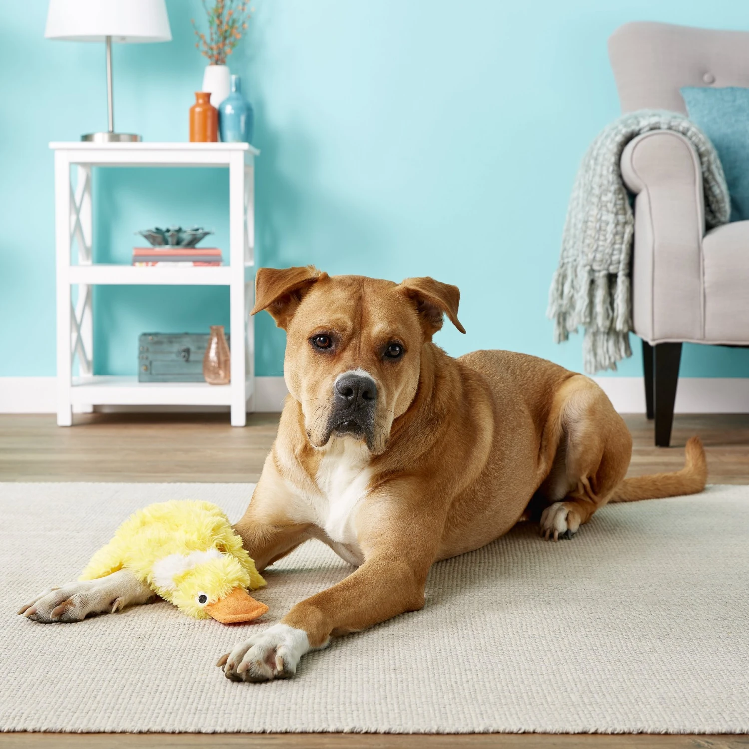 Doggles Plush Bottle Duck Dog Toy 4 Doggles Plush Bottle Duck Dog Toy - Image 2