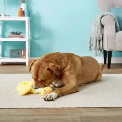 Doggles Plush Bottle Duck Dog Toy 8 Doggles Plush Bottle Duck Dog Toy -Dog Supplies 118762 PT2. AC SS1800 V1554126457