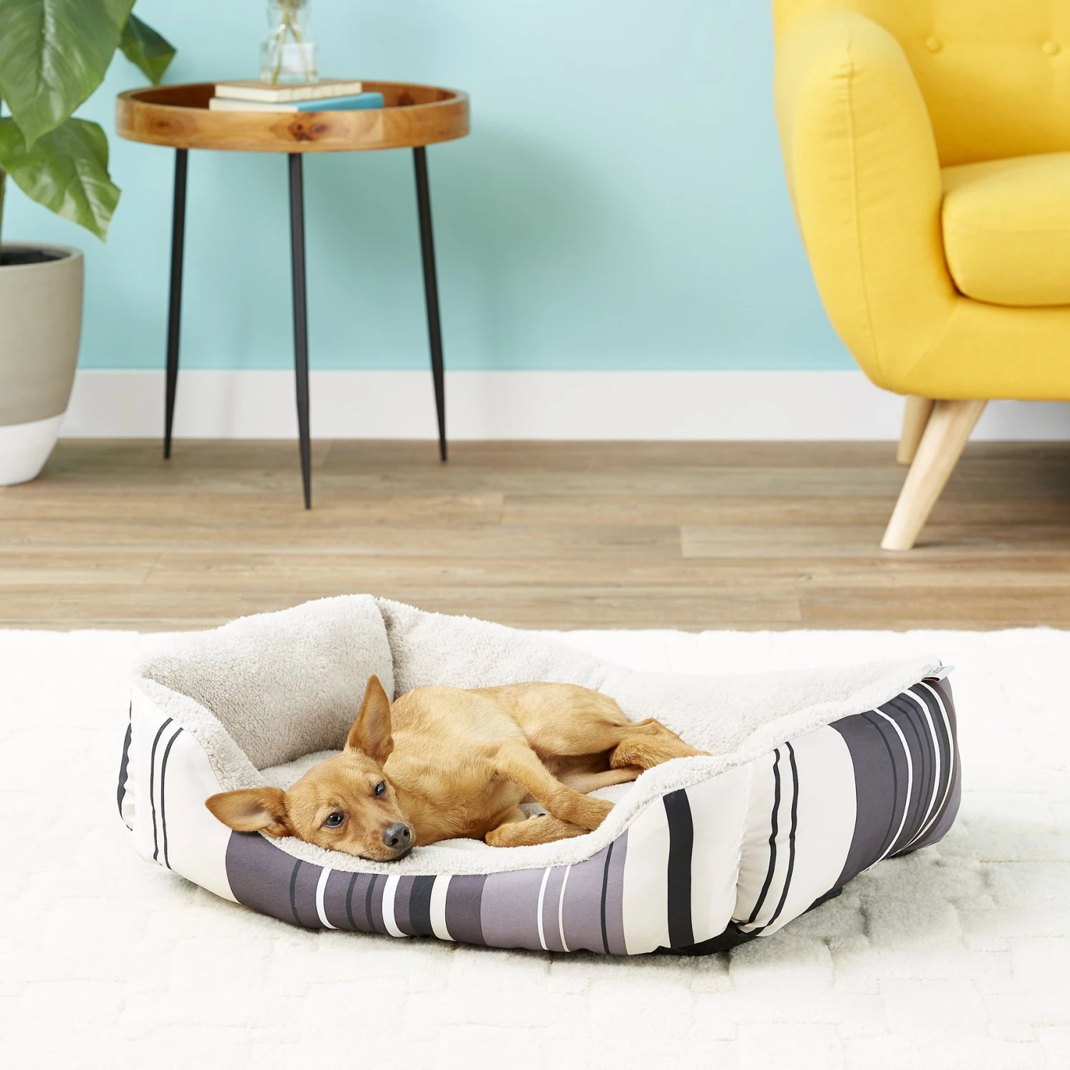 ASPCA Microtech Striped Bolster Dog Bed With Removable Cover 3 ASPCA Microtech Striped Bolster Dog Bed With Removable Cover