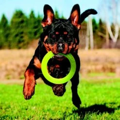 Nerf Dog Super Soaker Retriever Toss & Tug Ring Dog Toy -Dog Supplies 121842 PT3. AC SS1800 V1493316298