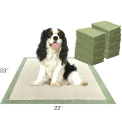 Four Paws Wee-Wee Superior Performance Eco Dog Pee Pads 17 Four Paws Wee-Wee Superior Performance Eco Dog Pee Pads -Dog Supplies 124513 PT6. AC SS1800 V1685646733