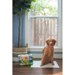 Four Paws Wee-Wee Superior Performance Eco Dog Pee Pads 19 Four Paws Wee-Wee Superior Performance Eco Dog Pee Pads -Dog Supplies 124513 PT8. AC SS1800 V1685650449