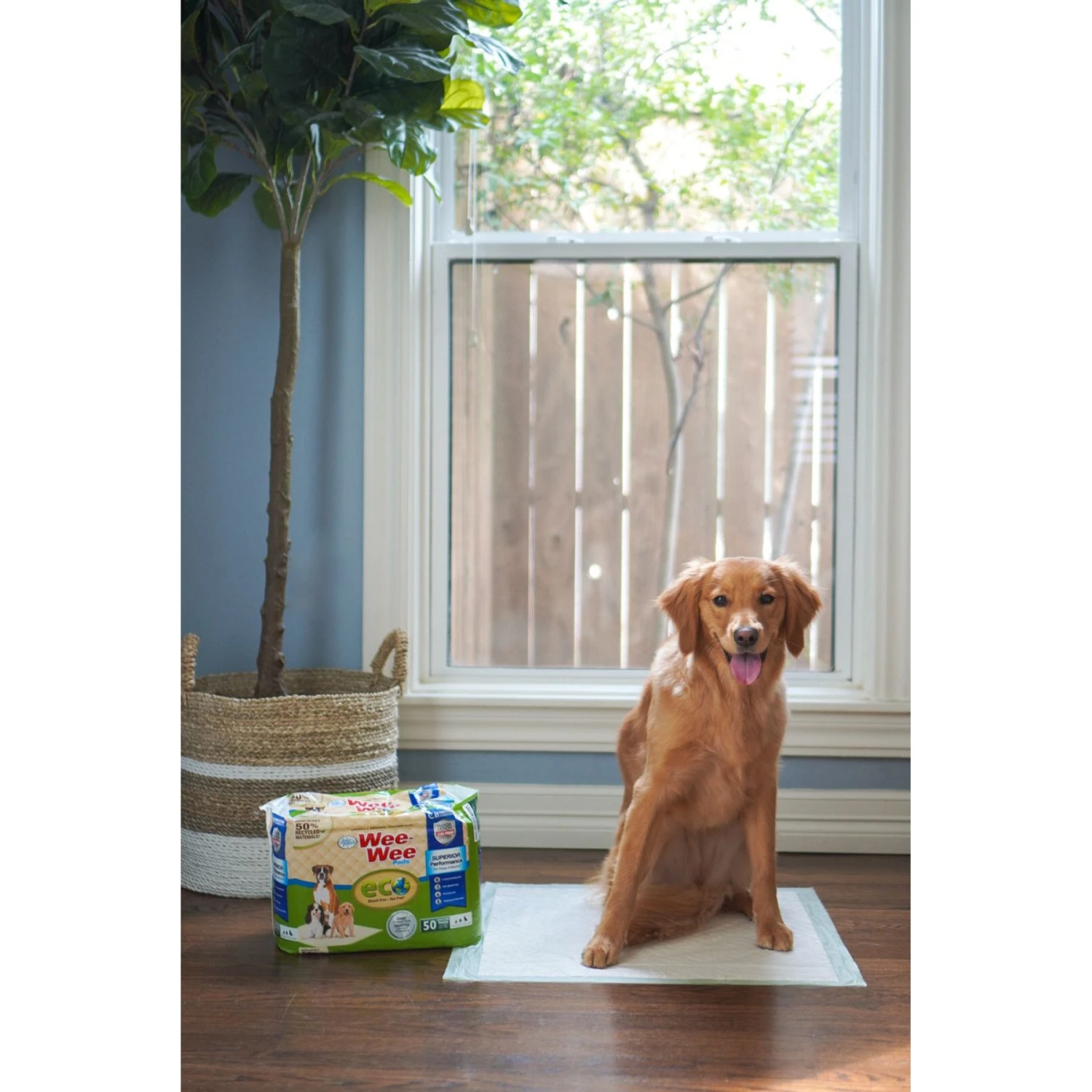 Four Paws Wee-Wee Superior Performance Eco Dog Pee Pads 11 Four Paws Wee-Wee Superior Performance Eco Dog Pee Pads - Image 9