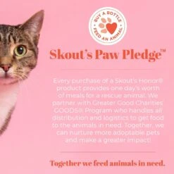 Skout's Honor Professional Strength Urine & Odor Destroyer -Dog Supplies 126642 PT5. AC SS1800 V1658229221