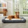 Frisco Plush Orthopedic Bolster Dog Bed W/Removable Cover 2 Frisco Plush Orthopedic Bolster Dog Bed W/Removable Cover -Dog Supplies 129511 MAIN. AC SS1800 V1674157635