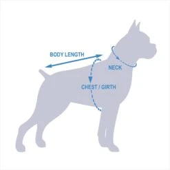 Rubie's Costume Company Oktoberfest Sweety Dog Costume 11 Rubie's Costume Company Oktoberfest Sweety Dog Costume -Dog Supplies 130753 PT8. AC SS1800 V1541461165