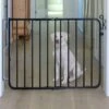 Cardinal Gates Auto-Lock Pet Gate 2 Cardinal Gates Auto-Lock Pet Gate -Dog Supplies 134769 MAIN. AC SS1800 V1569023894