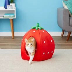 YML Strawberry Covered Cat & Dog Bed -Dog Supplies 138280 PT3. AC SS1800 V1566337340