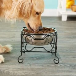 YML Wrought Iron Stand With Stainless Steel Dog Bowl -Dog Supplies 138285 PT3. AC SS1800 V1530223119