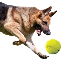 Nerf Dog Squeak Ball Dog Toy, Large -Dog Supplies 142888 PT3. AC SS1800 V1517611571