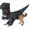 California Costumes Pupasaurus Rex Dog & Cat Costume 2 California Costumes Pupasaurus Rex Dog & Cat Costume -Dog Supplies 143317 MAIN. AC SS1800 V1533334625