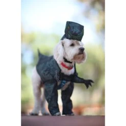 California Costumes Pupasaurus Rex Dog & Cat Costume -Dog Supplies 143317 PT3. AC SS1800 V1567184028