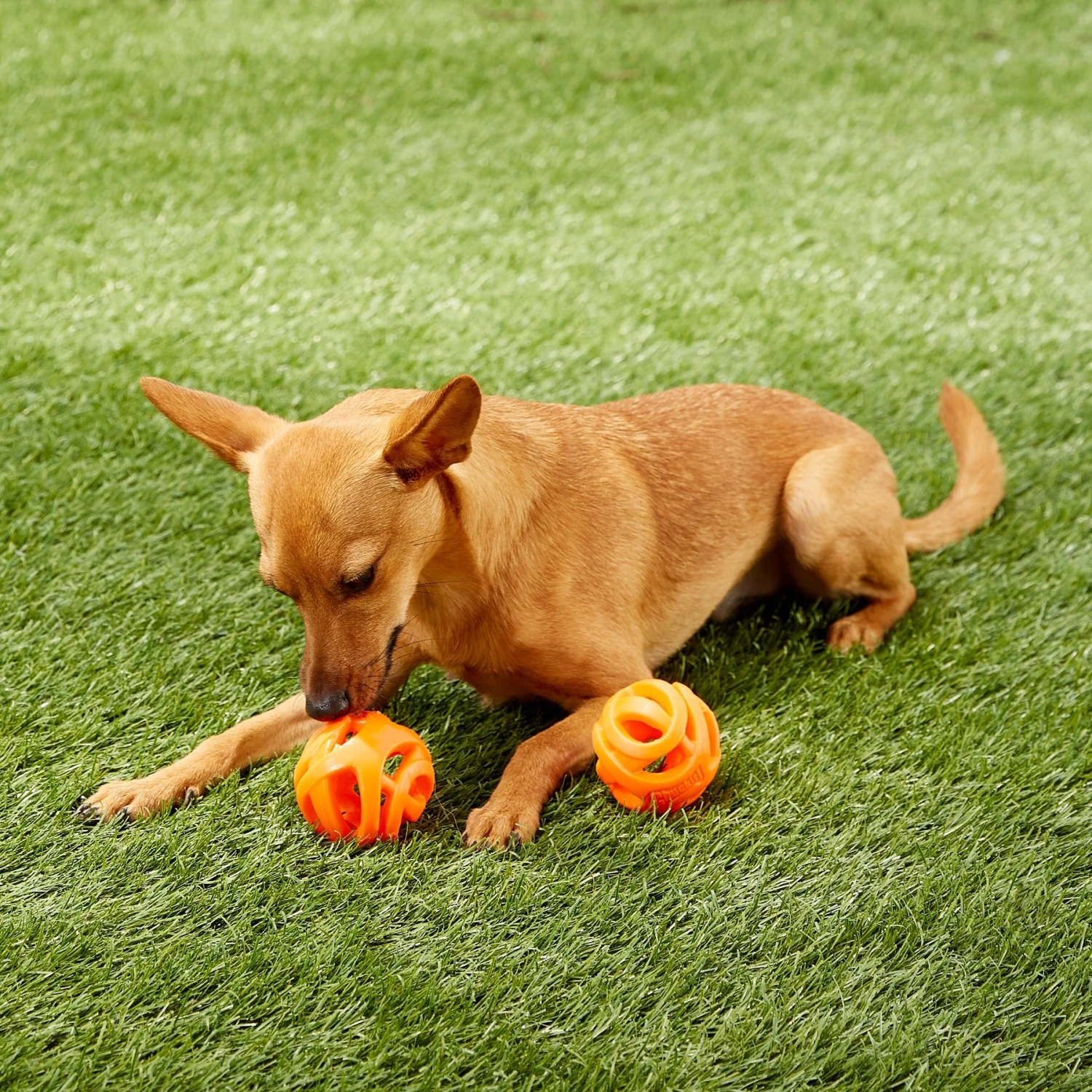 Chuckit! Air Fetch Ball 2-Pack Dog Toy 5 Chuckit! Air Fetch Ball 2-Pack Dog Toy - Image 3