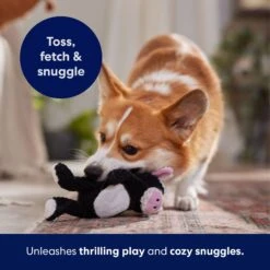 Frisco Cow Textured Plush Squeaky Dog Toy -Dog Supplies 147059 PT5. AC SS1800 V1691776636