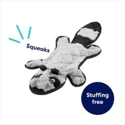 Frisco Raccoon Stuffing-Free Flat Plush Squeaky Dog Toy -Dog Supplies 147071 PT2. AC SS1800 V1692826085