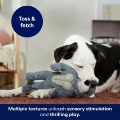 Frisco Wolf Muscle Plush Squeaky Dog Toy -Dog Supplies 147082 PT5. AC SS1800 V1691776574