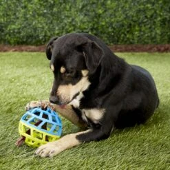 Nerf Dog EXO Treat Dispensing Ball Dog Toy -Dog Supplies 148523 PT5. AC SS1800 V1531937556