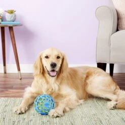 Nerf Dog EXO Treat Dispensing Ball Dog Toy -Dog Supplies 148523 PT6. AC SS1800 V1531937566