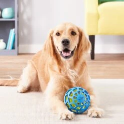 Nerf Dog EXO Treat Dispensing Ball Dog Toy -Dog Supplies 148523 PT7. AC SS1800 V1545252610