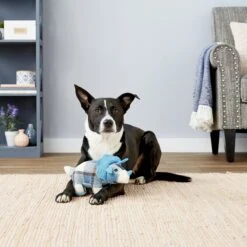 Multipet Plaidosaurus Squeaky Plush Dog Toy, Character Varies 9 Multipet Plaidosaurus Squeaky Plush Dog Toy, Character Varies -Dog Supplies 151619 PT2. AC SS1800 V1545257385